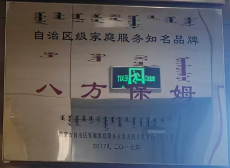 9：自治区级家庭服务知名品牌-2017年.png