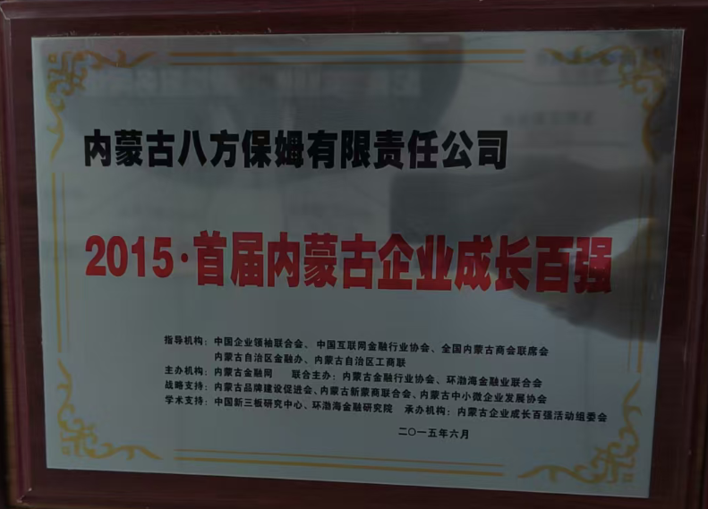 6：2015·首届内蒙古企业成长百强-2015年6月.png